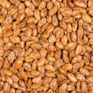 تخمه جابانی نمکی درجه یک