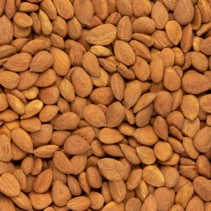 مغز هسته زردآلو تنوری درجه یک