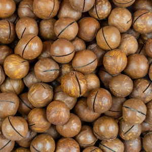 ماکادمیا لوکس