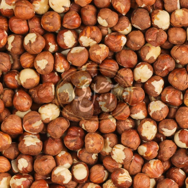 مغز فندق خام ایرانی درجه یک