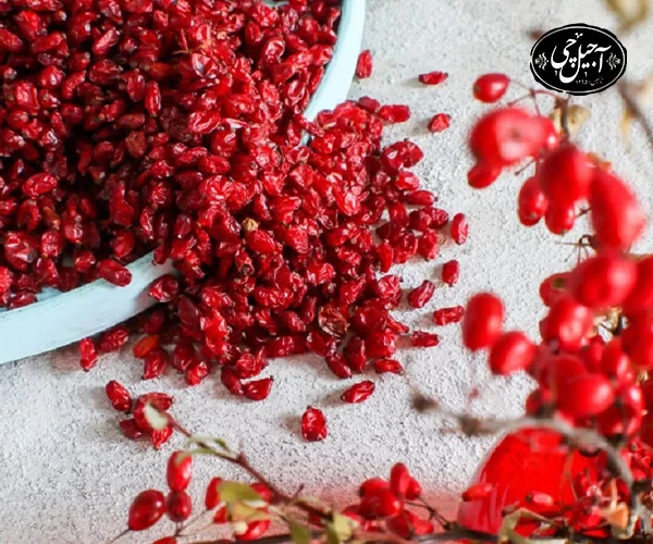 روش پرداخت قیمت زرشک در سایت آجیل چی