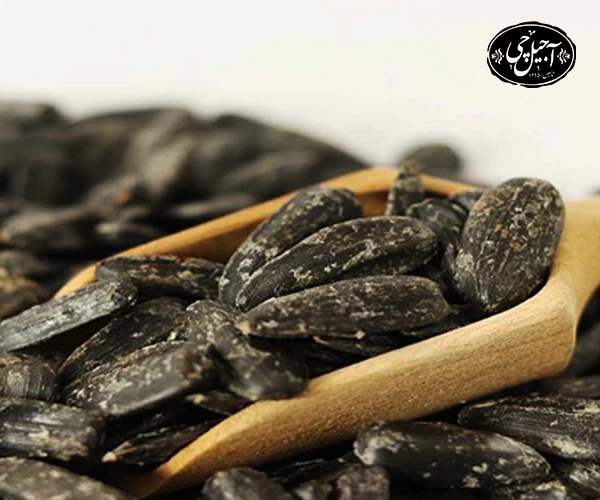 نحوه پرداخت قیمت تخمه آفتابگردان شمشیری در سایت آجیل و خشکبار آجیل چی