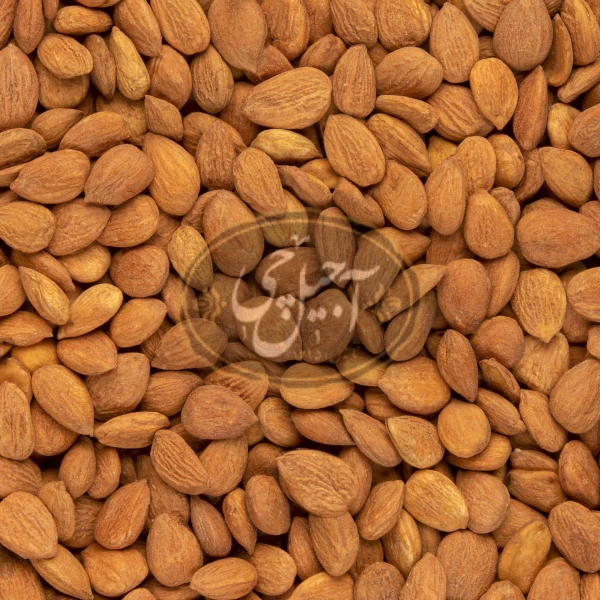 مغز هسته زردآلو تنوری درجه یک