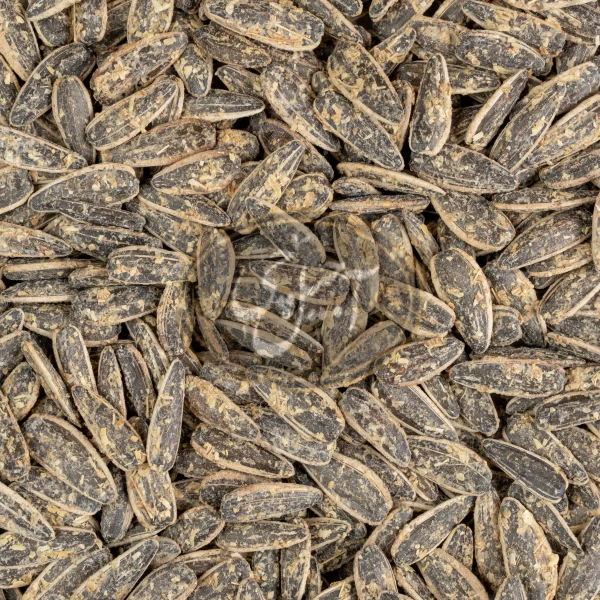 تخمه آفتابگردان دور سفید گلپر درجه یک