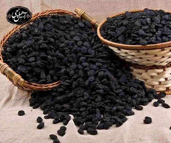 تضمین کیفیت مویز در آجیل چی