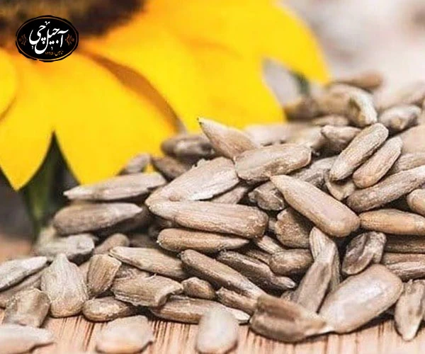 سیستم قیمت گذاری تخمه افتابگردان شمشیری در آجیل سرای آجیل چی