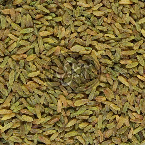 کشمش سبز ممتاز