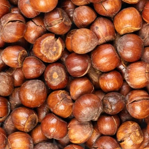 فندق نمکی ایرانی درجه یک