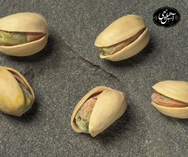 سفارش پسته فندقی شور