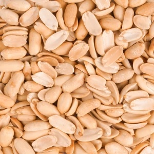 مغز بادام زمینی سفید آستانه درجه یک