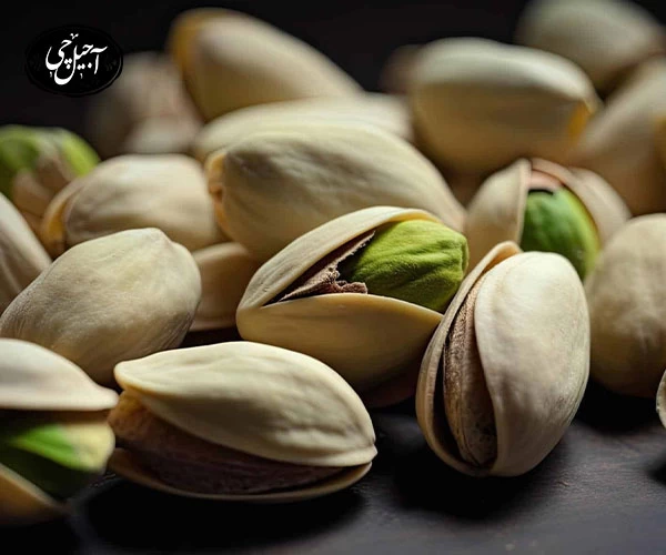 خرید پسته فندقی نمکی