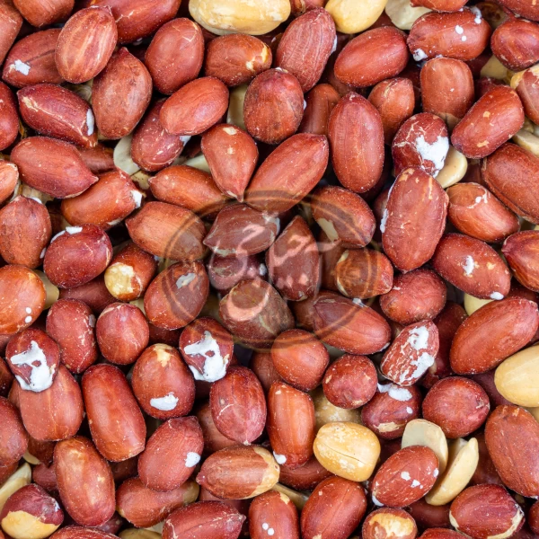 مغزبادام زمینی تنوری ممتاز