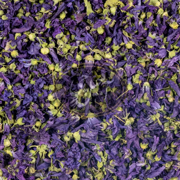 گل ختمی درجه یک