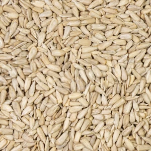 مغز تخمه آفتابگردان خام درجه یک