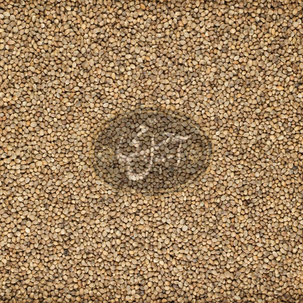 شاهدانه رست شده درجه یک