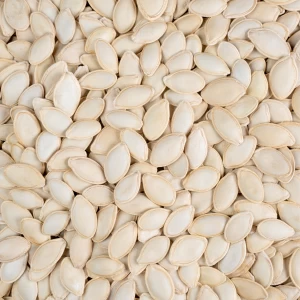 تخمه کدو گوشتی خام درجه یک