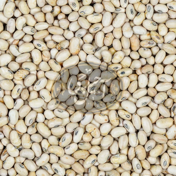 سویا آجیلی درجه یک