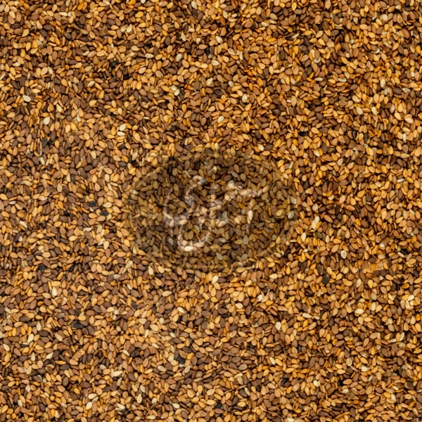 کنجد با پوست درجه یک