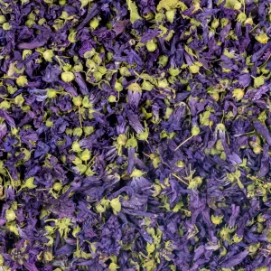 گل ختمی درجه یک