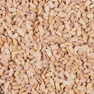 مغز بادام زمینی سفید نمکی درجه یک