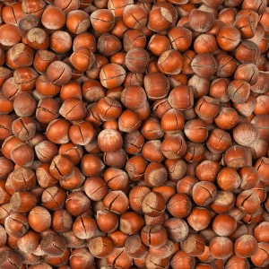 فندق خام درجه یک