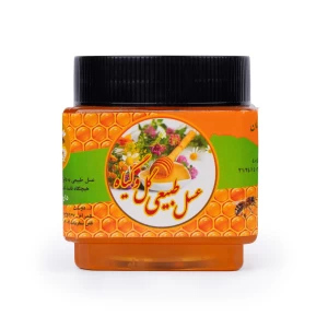 عسل گون 500گرمی آجیل چی