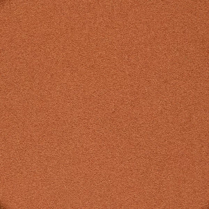 خاکشیر زرین درجه یک